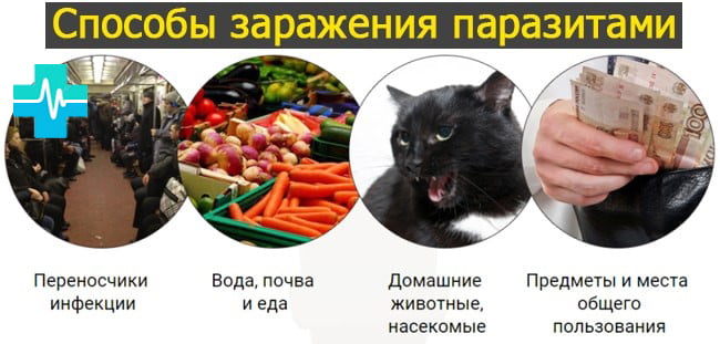 Способы заражения паразитами - картинка на gemoparazit.ru