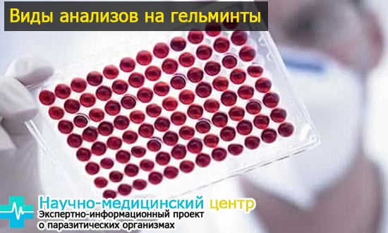 Определить паразитов по анализу крови