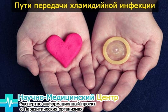 Как вылечить хламидиоз острый