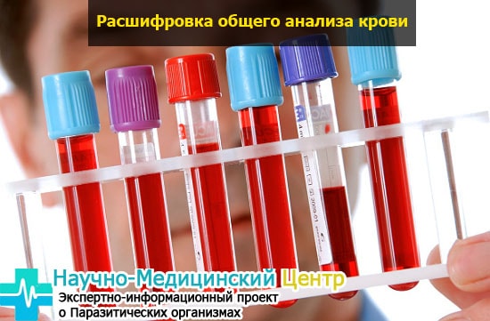 Результат анализа крови у детей
