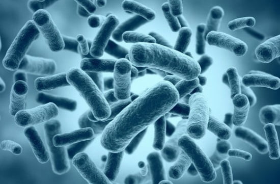 Бактерии в моче лечение народными средствами thumbnail