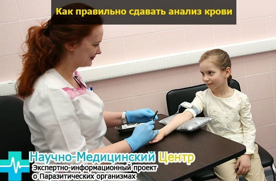 Результат анализа крови у детей
