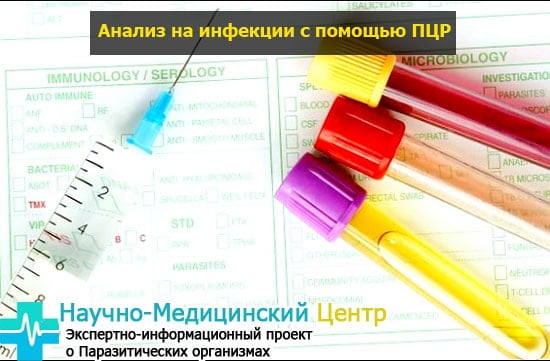 Мазок анализ крови расшифровка у