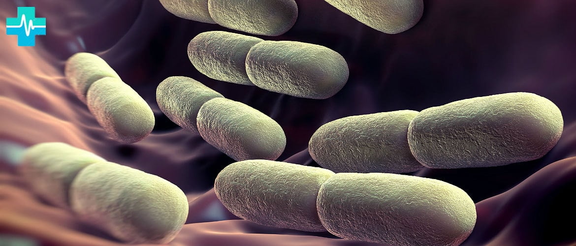 Йодофильные бактерии