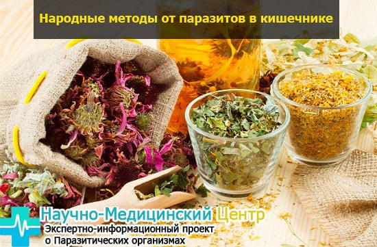 Лечение гельминтов народными методами - картинка на https://gemoparazit.ru