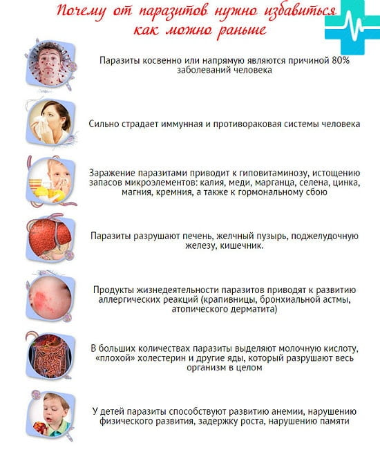 Зачем избавляться от паразитов? - картинка на https://gemoparazit.ru