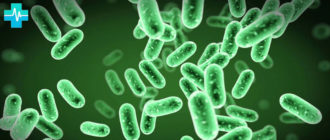 Живые бактерии для кишечника и желудка, лечение и препараты - на gemoparazit.ru